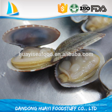 Vacuum-packed frozen short necked clam ready to eat